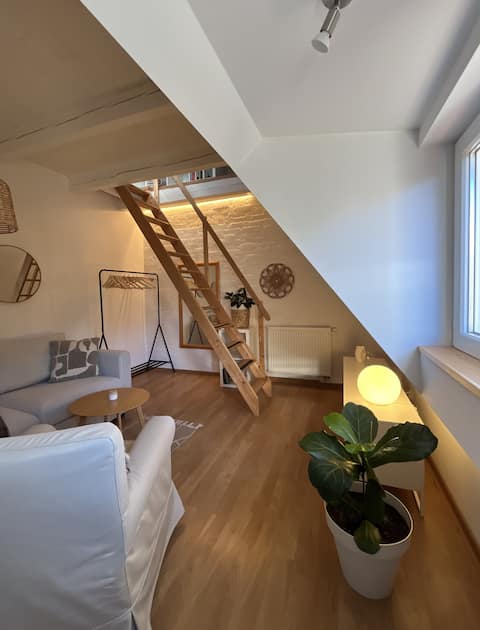 Top performing Airbnb: Cozy Scandi Studio in Wrzeszcz Dolny