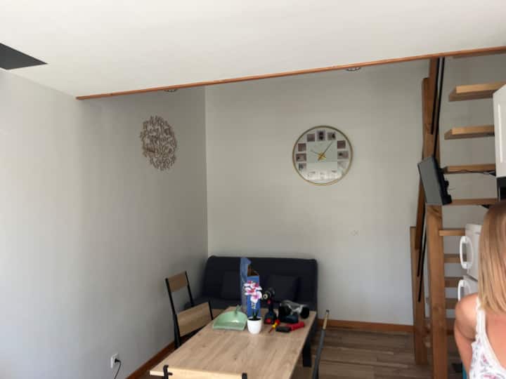 1 გასაშლელი დივანი