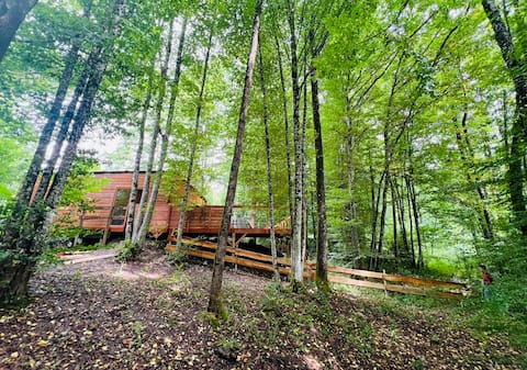 The Oies chalet, private spa
