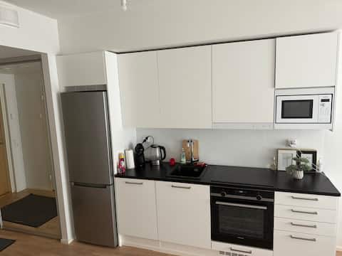 Successful Airbnb property: Modern apartment nearby Airport in Tikkurila