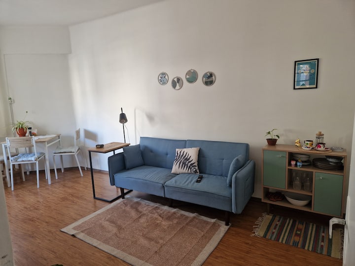 Centrico Apartamento Luminoso - Montevideo