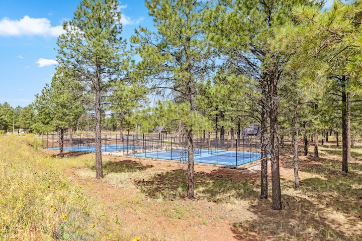 Pickleball courts
