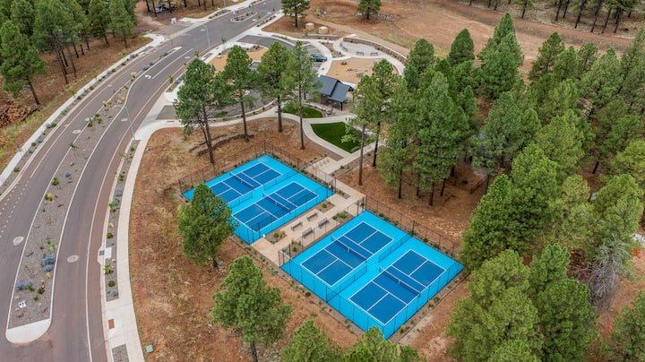 Aerial — pickleball courts and playground