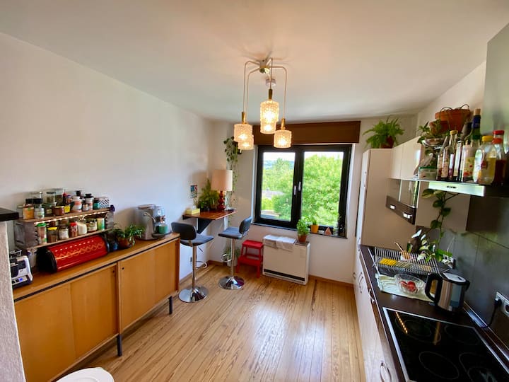 Behagliches Privatzimmer In Geräumigem Haus - Trier