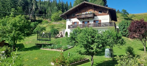 Waldhaus/Calm beautiful hikingways + skiing