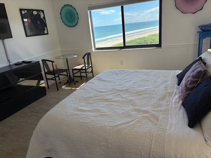 从主卧可欣赏迷人的海景 