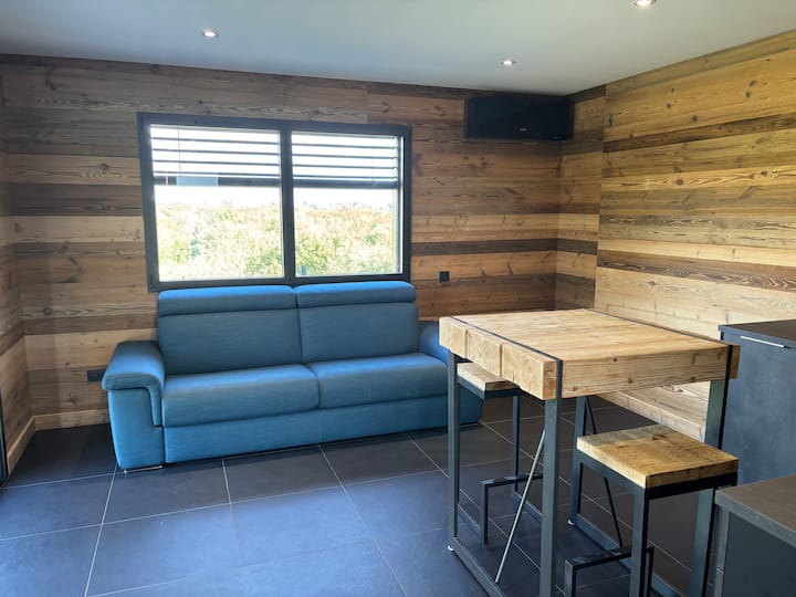 Logement 2pers Ambiance Chalet - Annecy