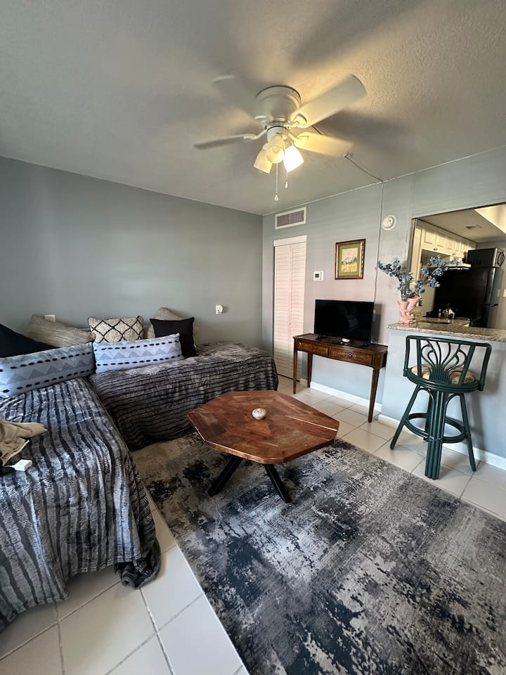 Walking Distance To Tampa General Hospital. - Amalie Arena