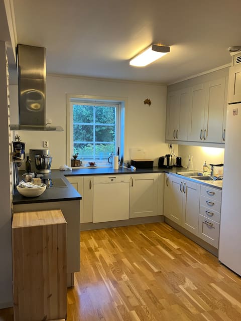 Top performing Airbnb: Apartment centrally located in Vinstra in Nord Fron