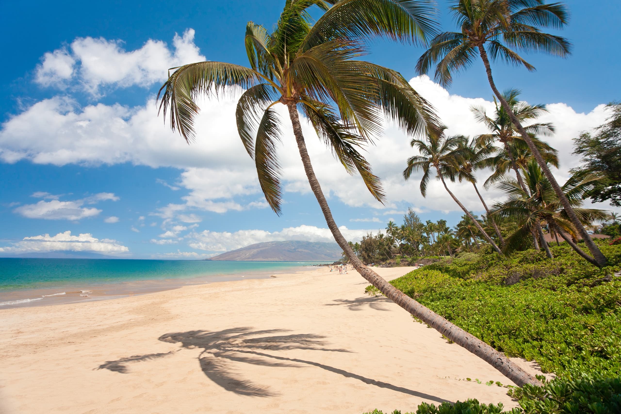 Chic Coastal Living in the Heart of Wailea - Image 52
