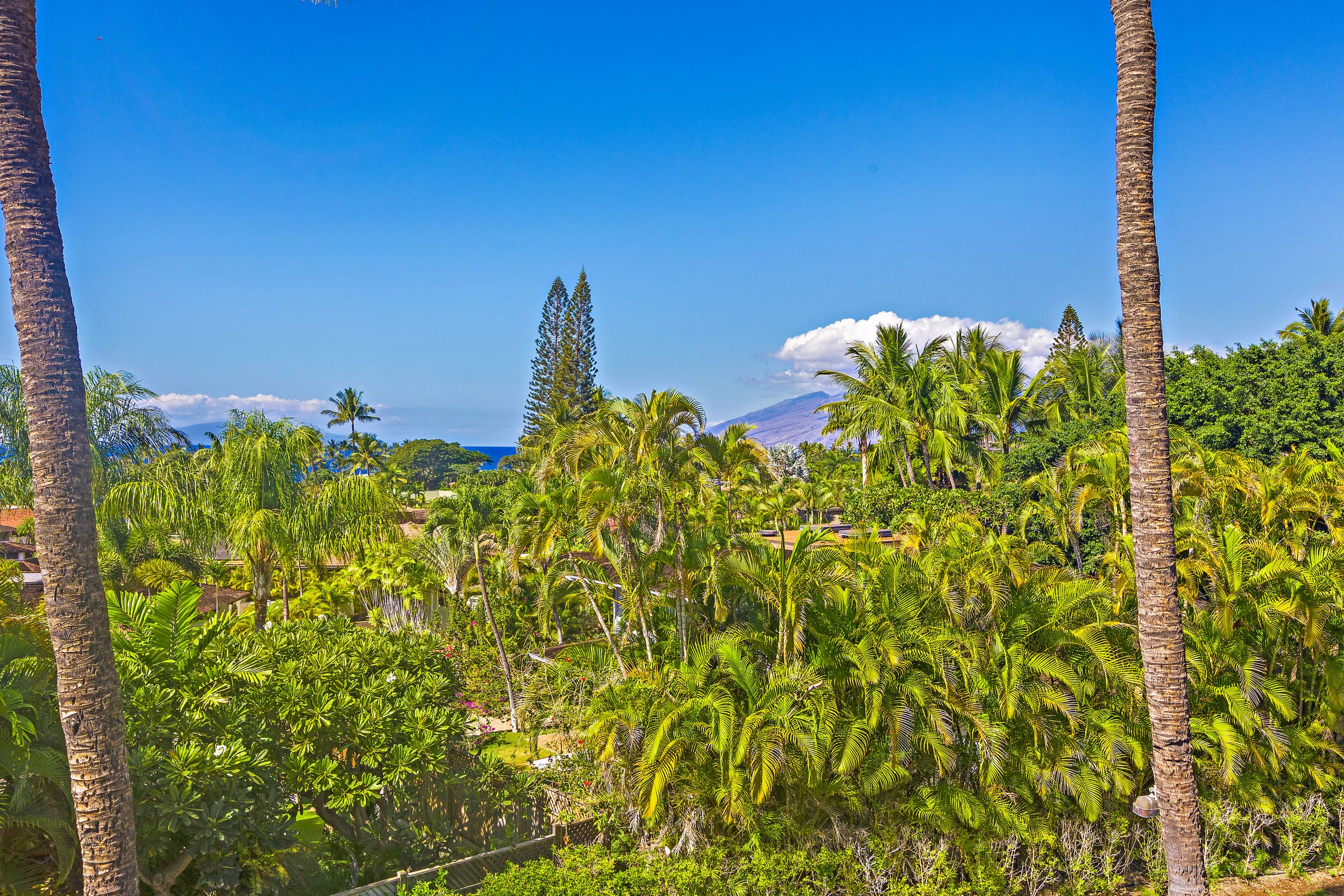 Chic Coastal Living in the Heart of Wailea - Image 47
