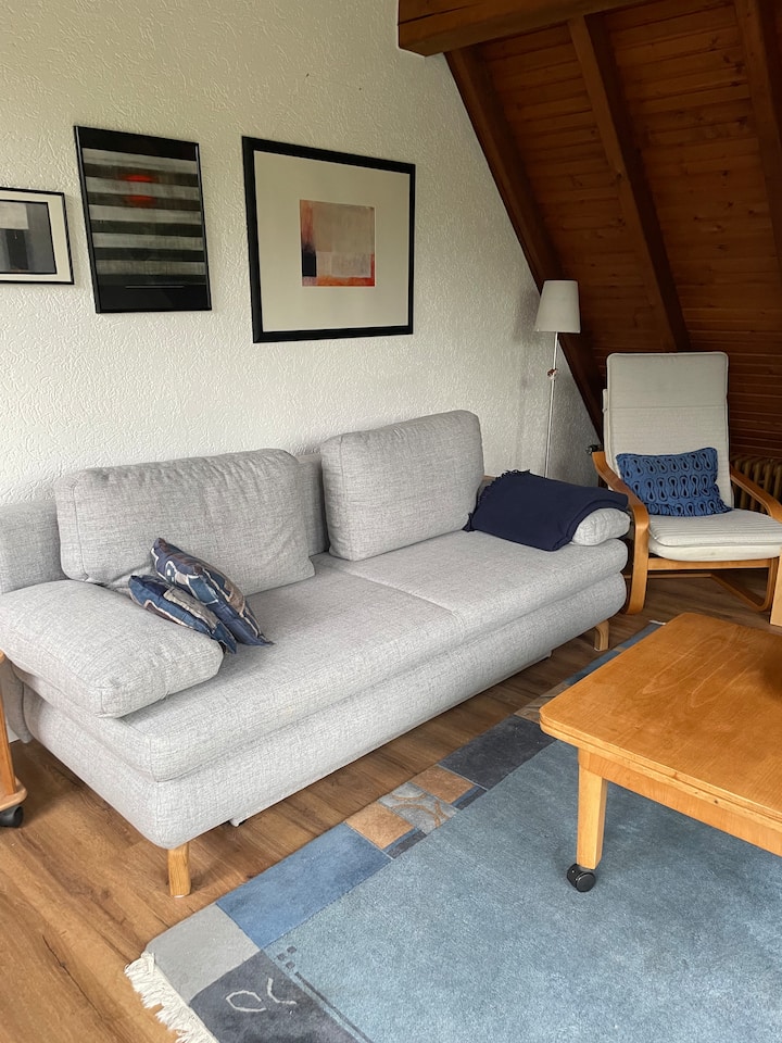 Dnevna spavaća soba