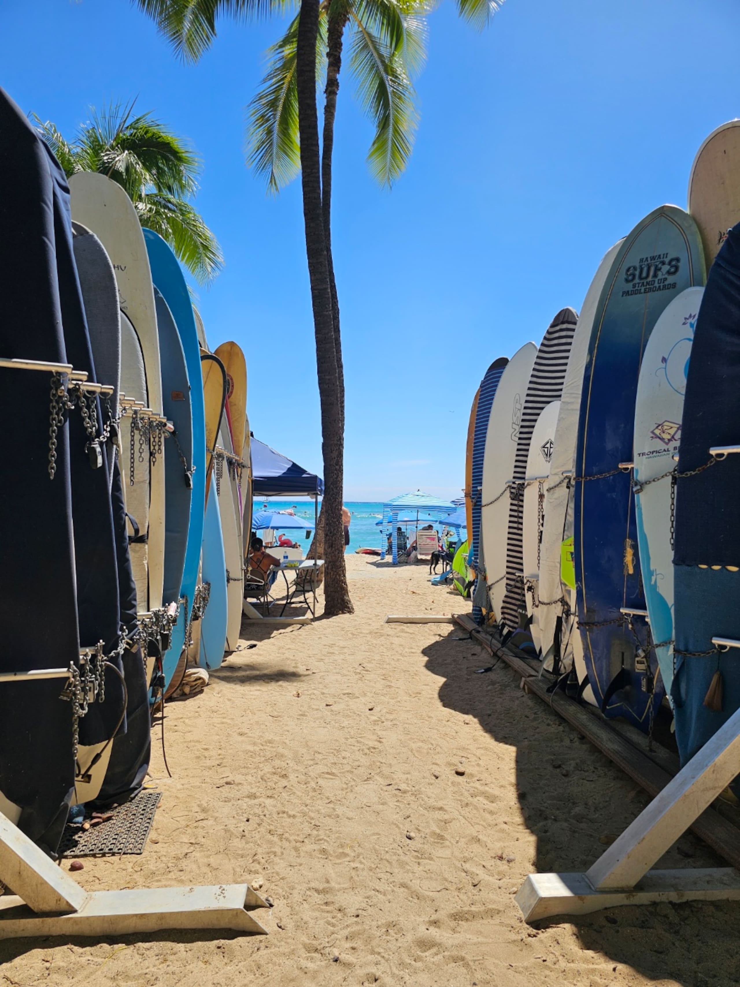 Hotel in Honolulu · ★5.0 · Studio · 1 bed · 1 private bath - Image 31