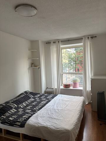 Unique Downtown 3BR Home with Bright Solarium gallery image 4