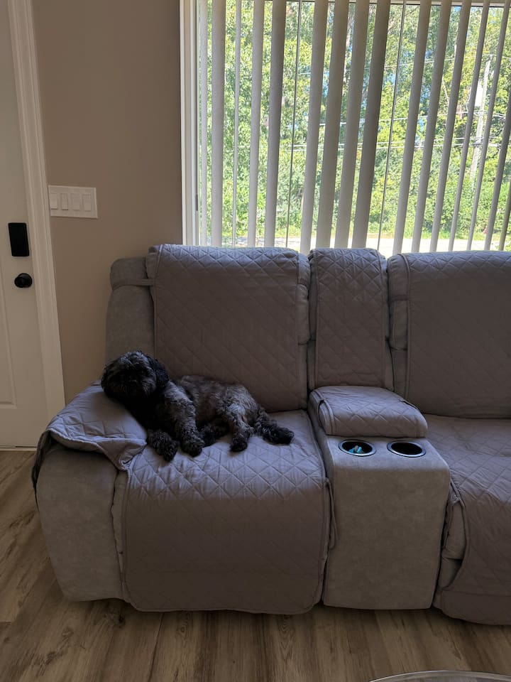 Hondenvriendelijke hoezen op de banken 