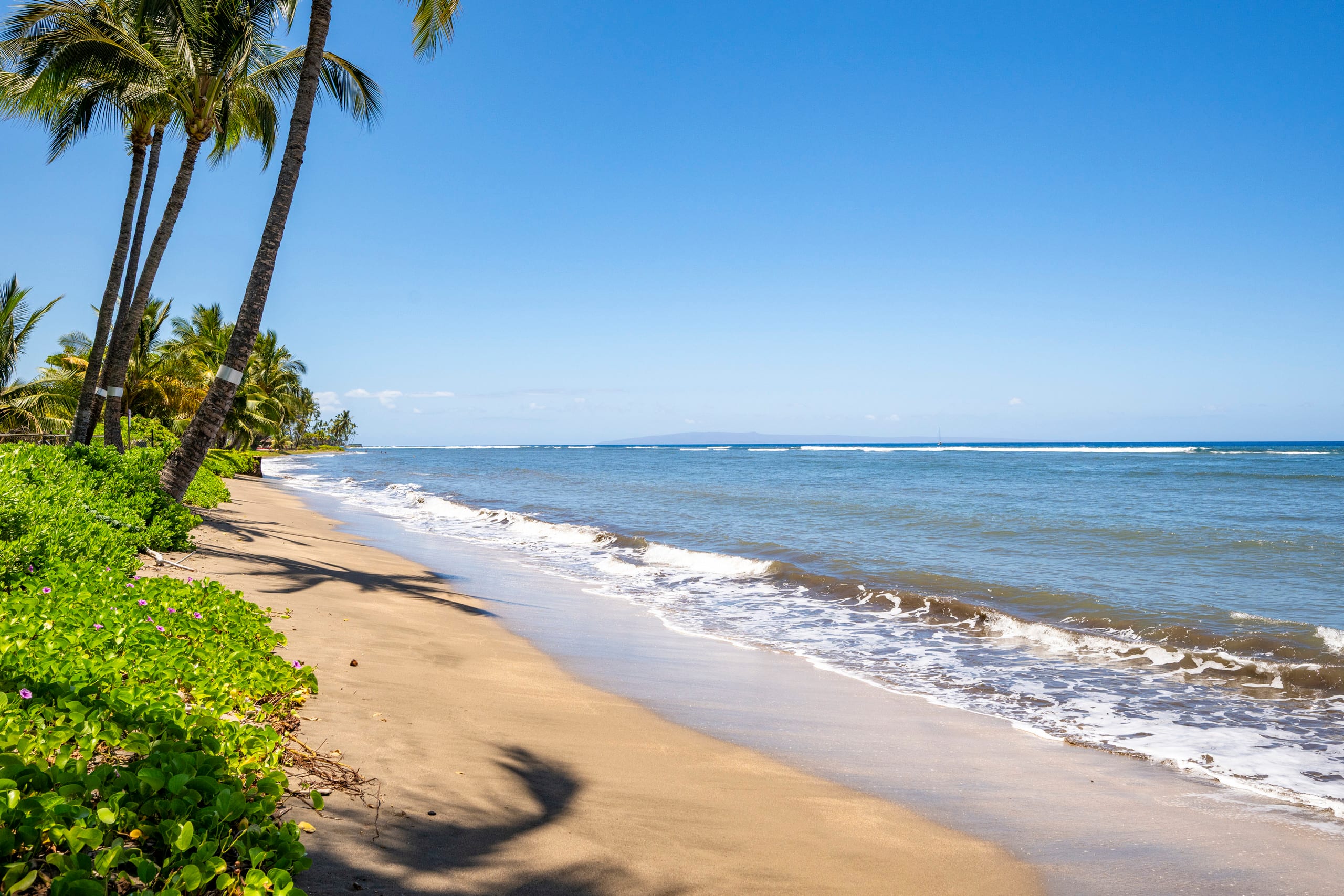 Relaxing Beachfront Studio Retreat – Lahaina Shore - Image 38