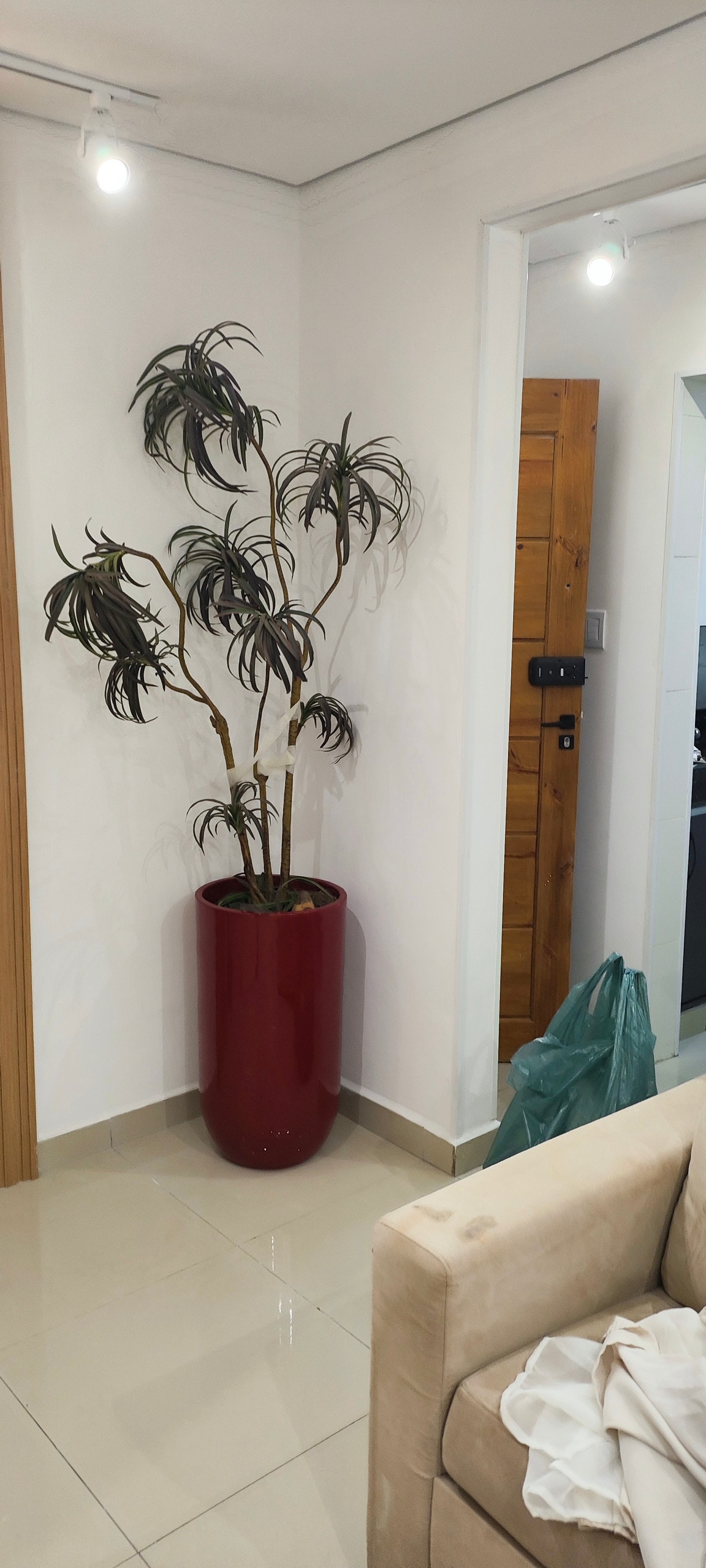 Área de convivencia