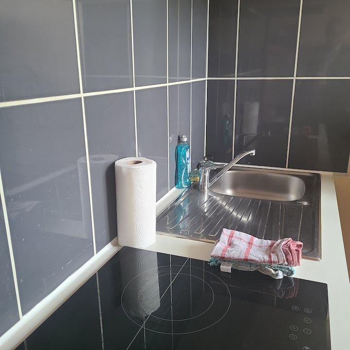 Appartement Pres Du Jardin Des Explorateurs - Brest