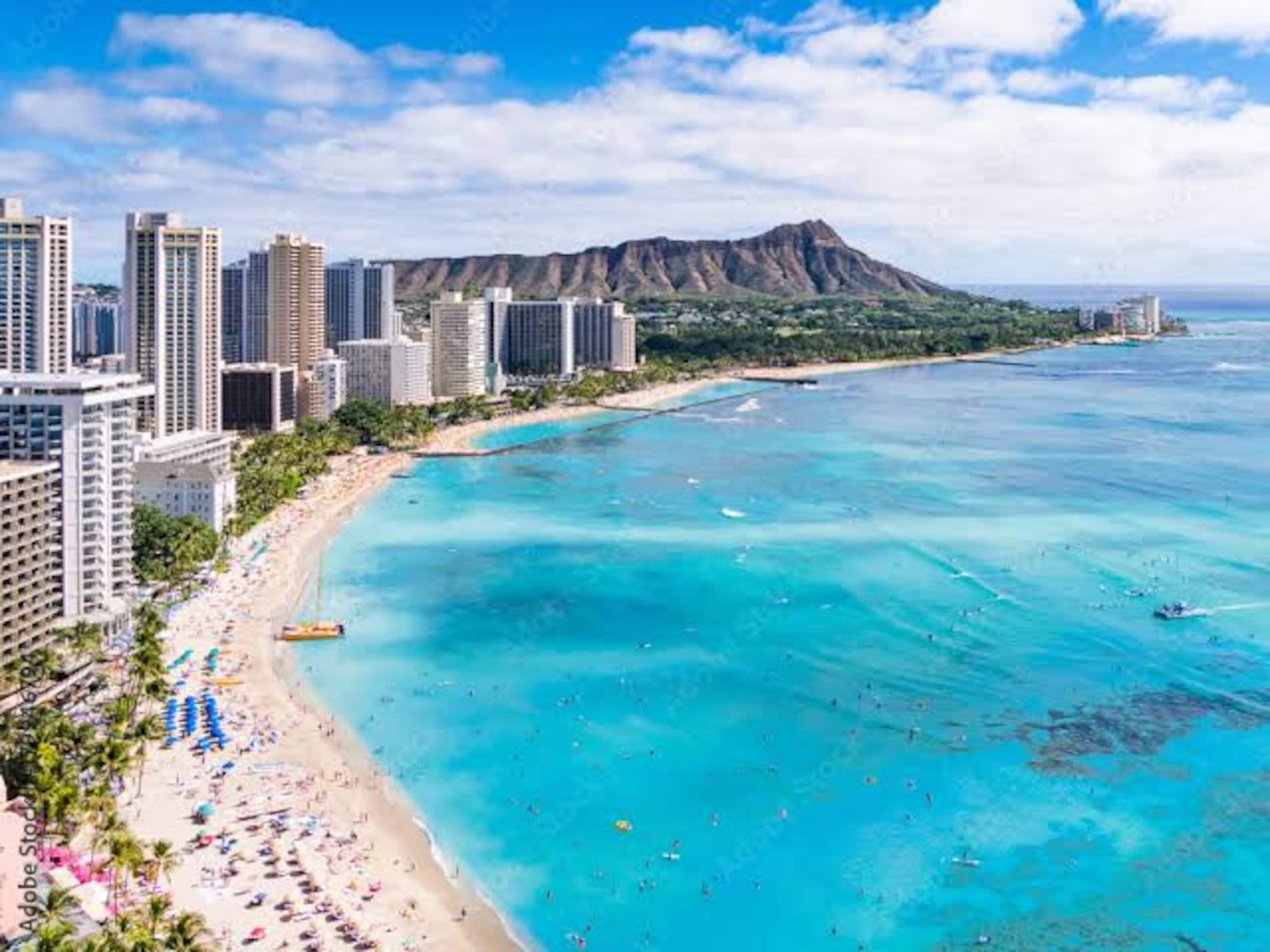 Brand New Listing Waikiki Condo Pool/Gym & Parking - Image 28