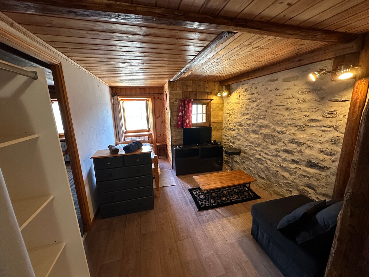 Annonce Airbnb populaire: Cozy Mouflon Apartment à Montvalezan