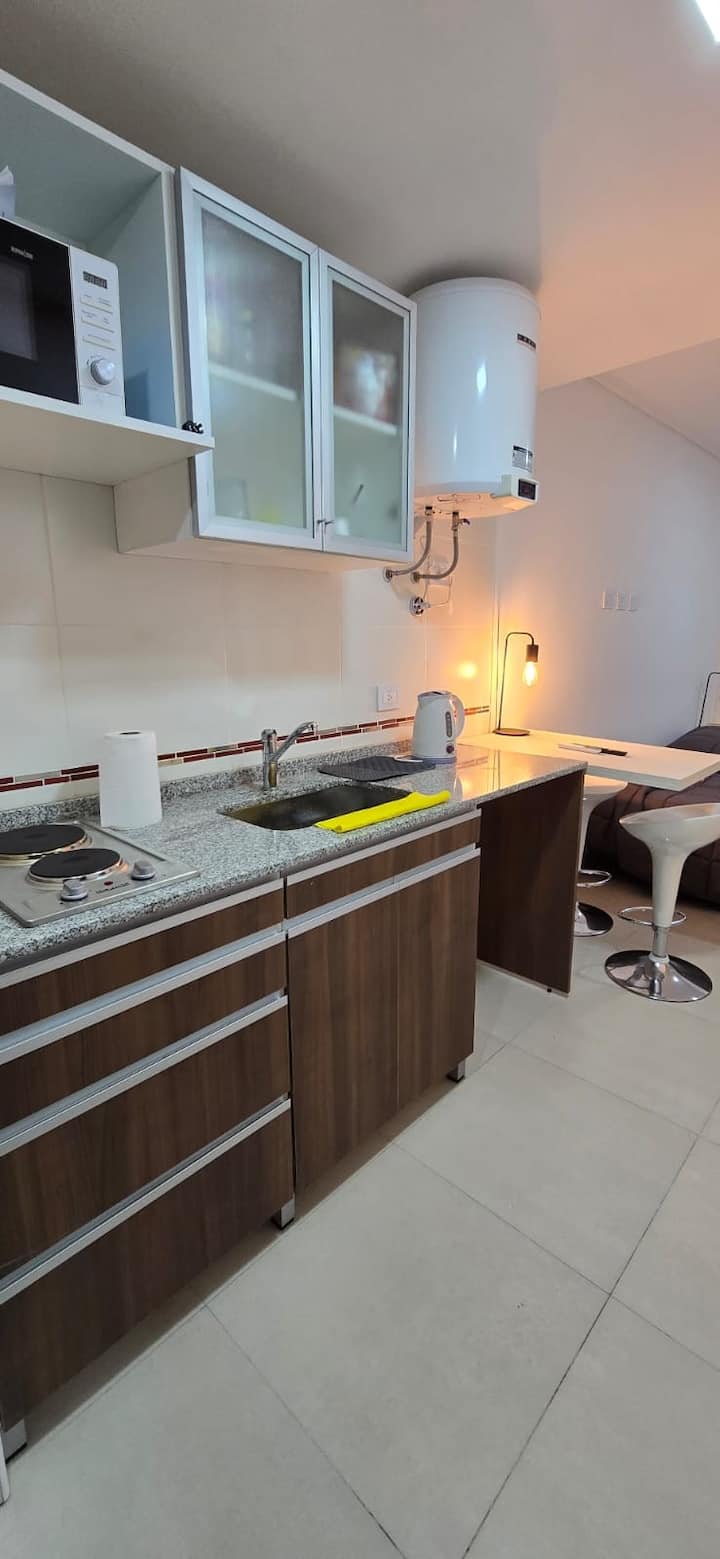 Квартира с 1 спальней в Constitución