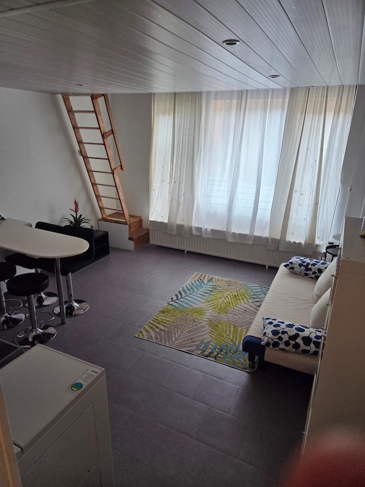 Acogedor Apartamento En Ixelles - Bruksela