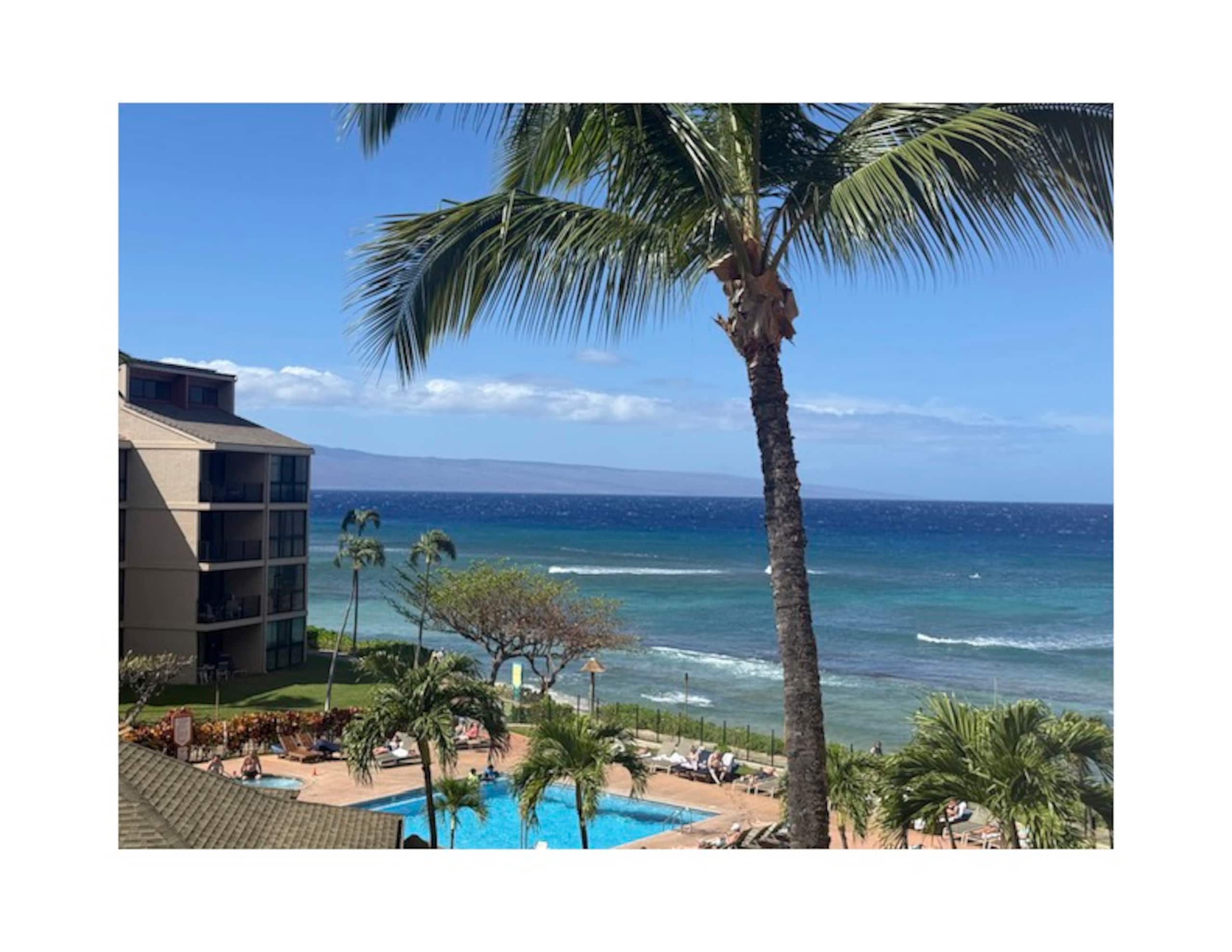 Condo in Lahaina · ★5.0 · 1 bedroom · 2 beds · 1 private bath - Image 33