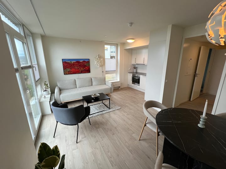 Leilighet Med Vakker Ustikt, På Byåsen - Trondheim