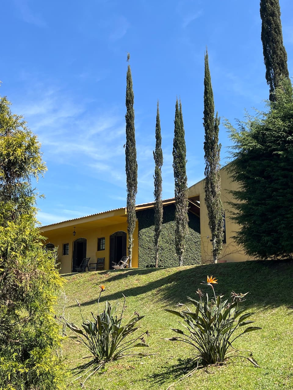 Top-earning Airbnb listing in Campo Largo, 7 bedrooms