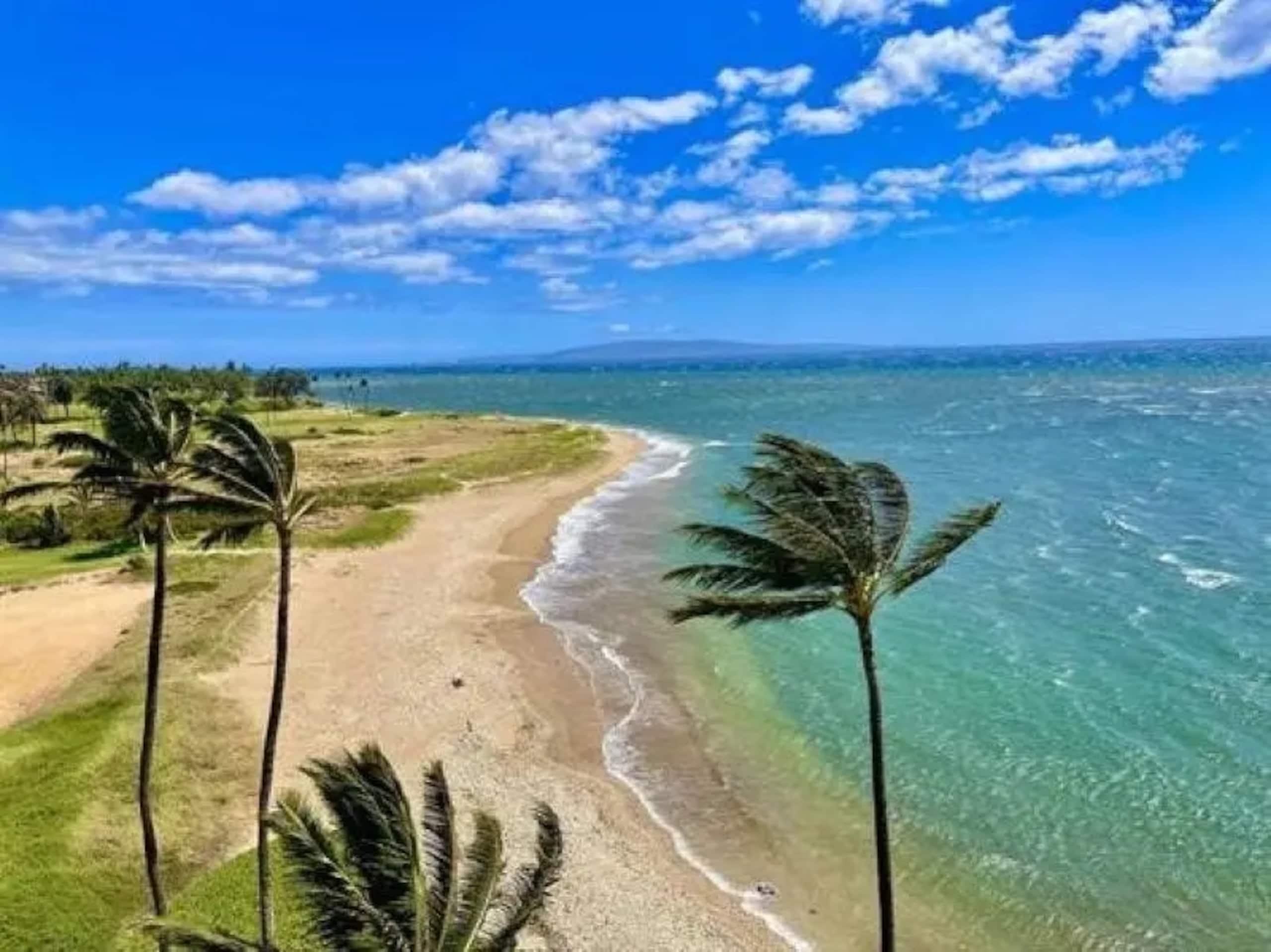 Condo in Kihei · ★4.82 · 2 bedrooms · 4 beds · 2 baths - Image 40