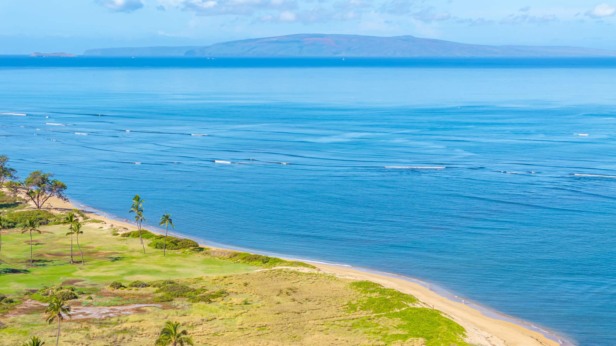 Condo in Kihei · ★4.82 · 2 bedrooms · 4 beds · 2 baths - Image 43