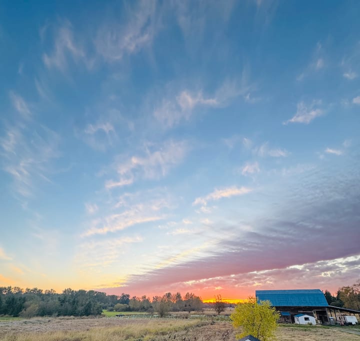 Rv & Camping Spots On Private Gated Farm Property - 布萊恩