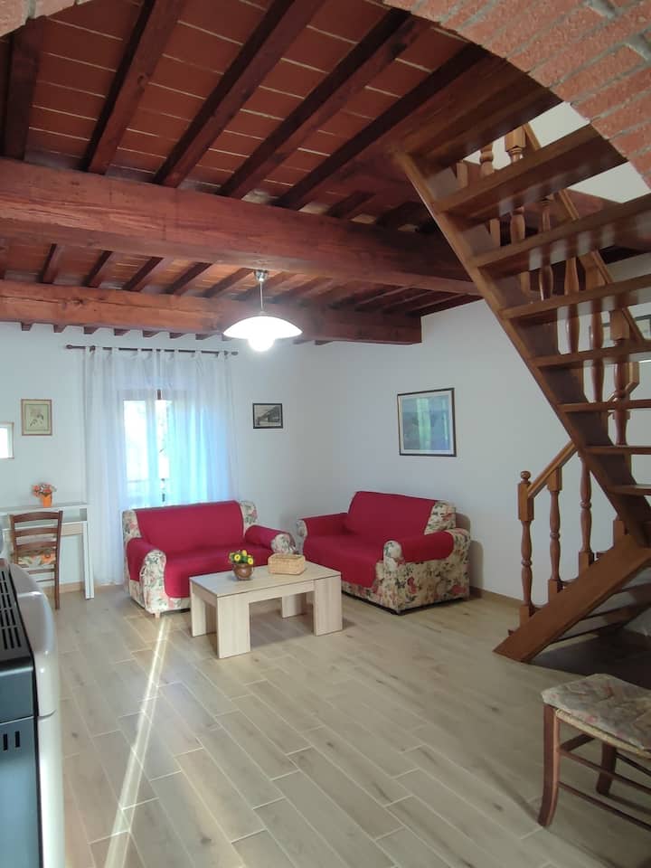 Casa Lamole (Greve In Chianti) - Monti del Chianti