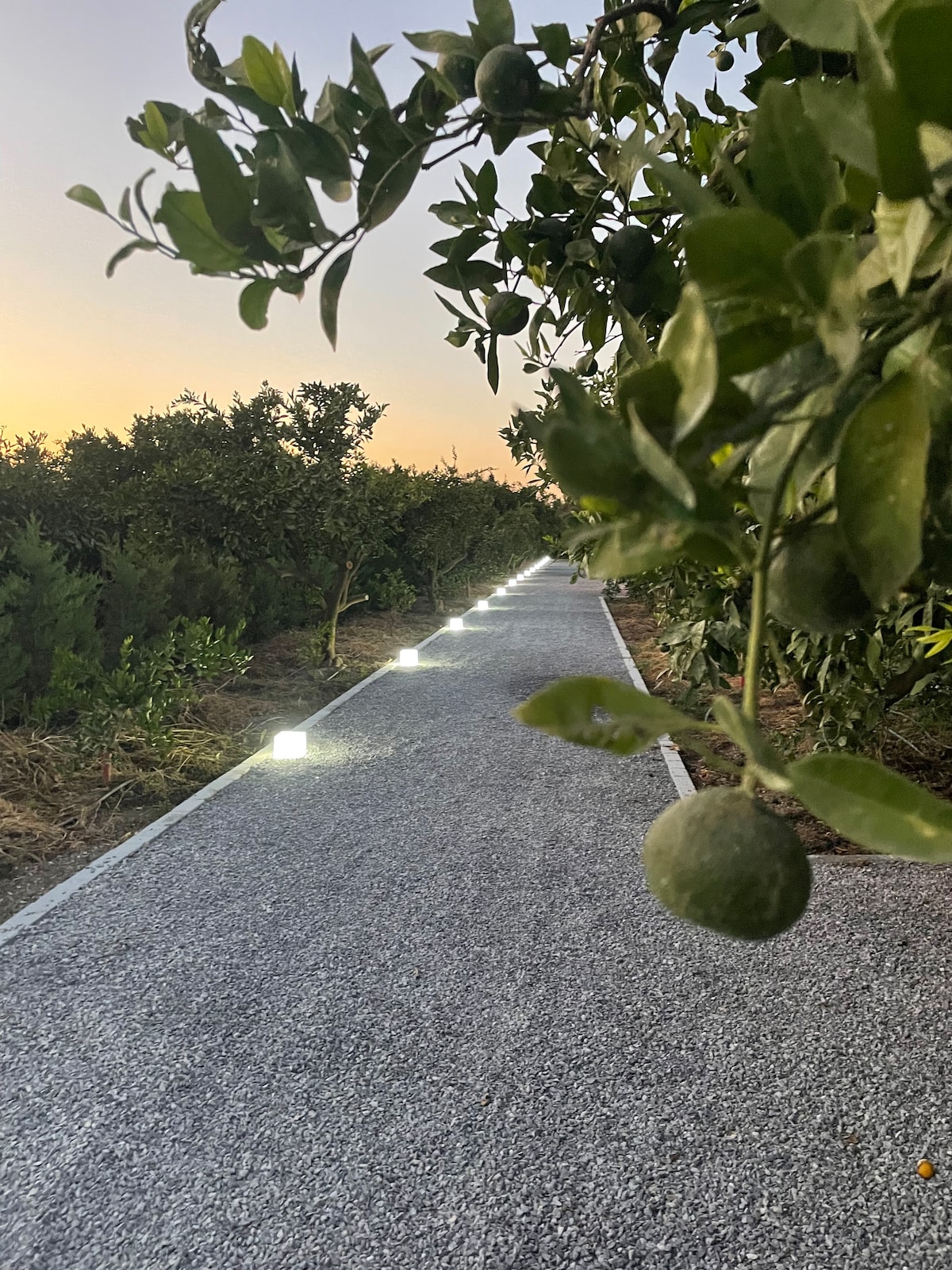 Home104 - 1+1 Isıtmalı havuzlu geniş bahçeli villa