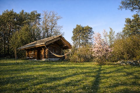 WoodMood Log Cabin with Wellness