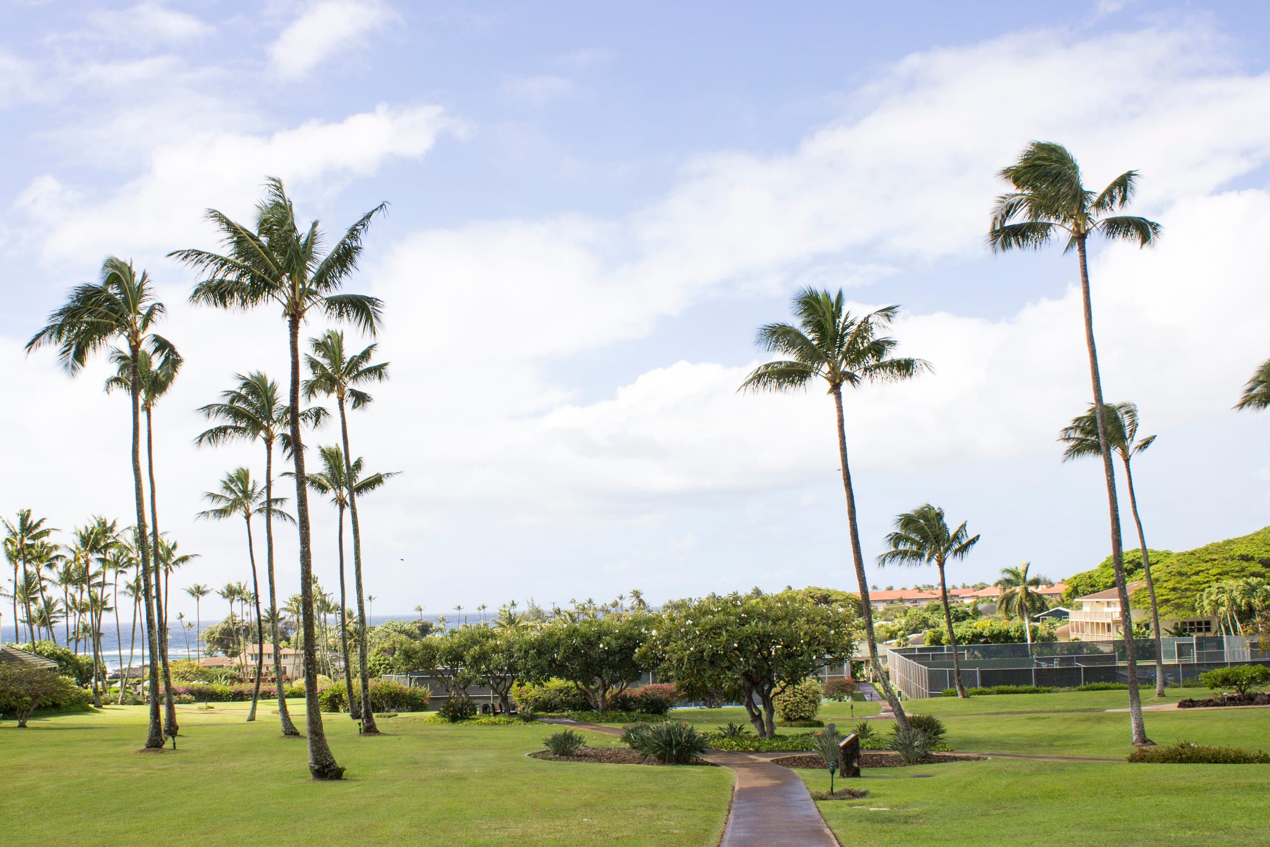 Condo in Koloa · ★4.95 · 3 bedrooms · 6 beds · 3 private baths - Image 32
