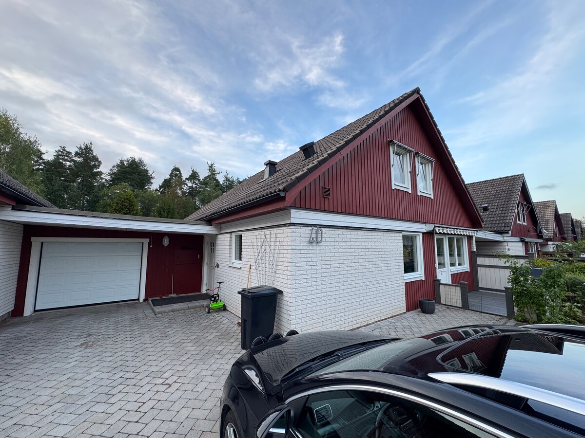 VILLAGE EN SUÈDE Maisons De Campagne Toit De Chaume Pâturages Champs