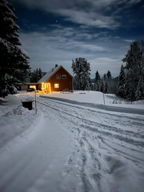 Cozy cabin/house in Tunnsjø city center for rent.