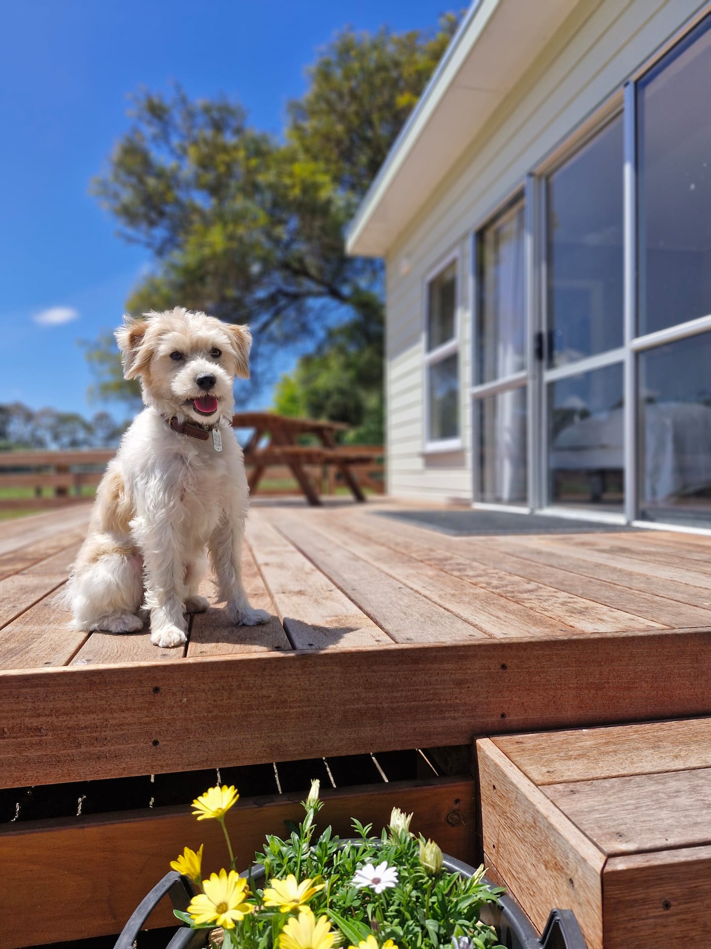 Coatwood Cottage 4