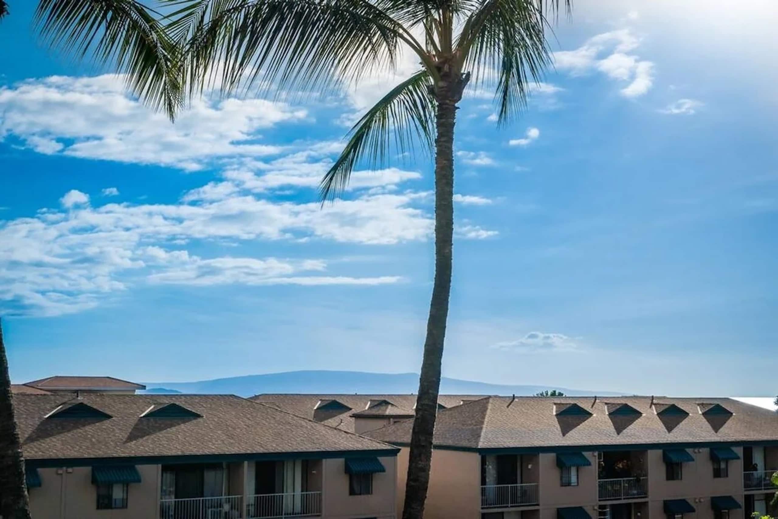 Condo in Kihei · ★4.75 · 1 bedroom · 2 beds · 1 private bath - Image 29