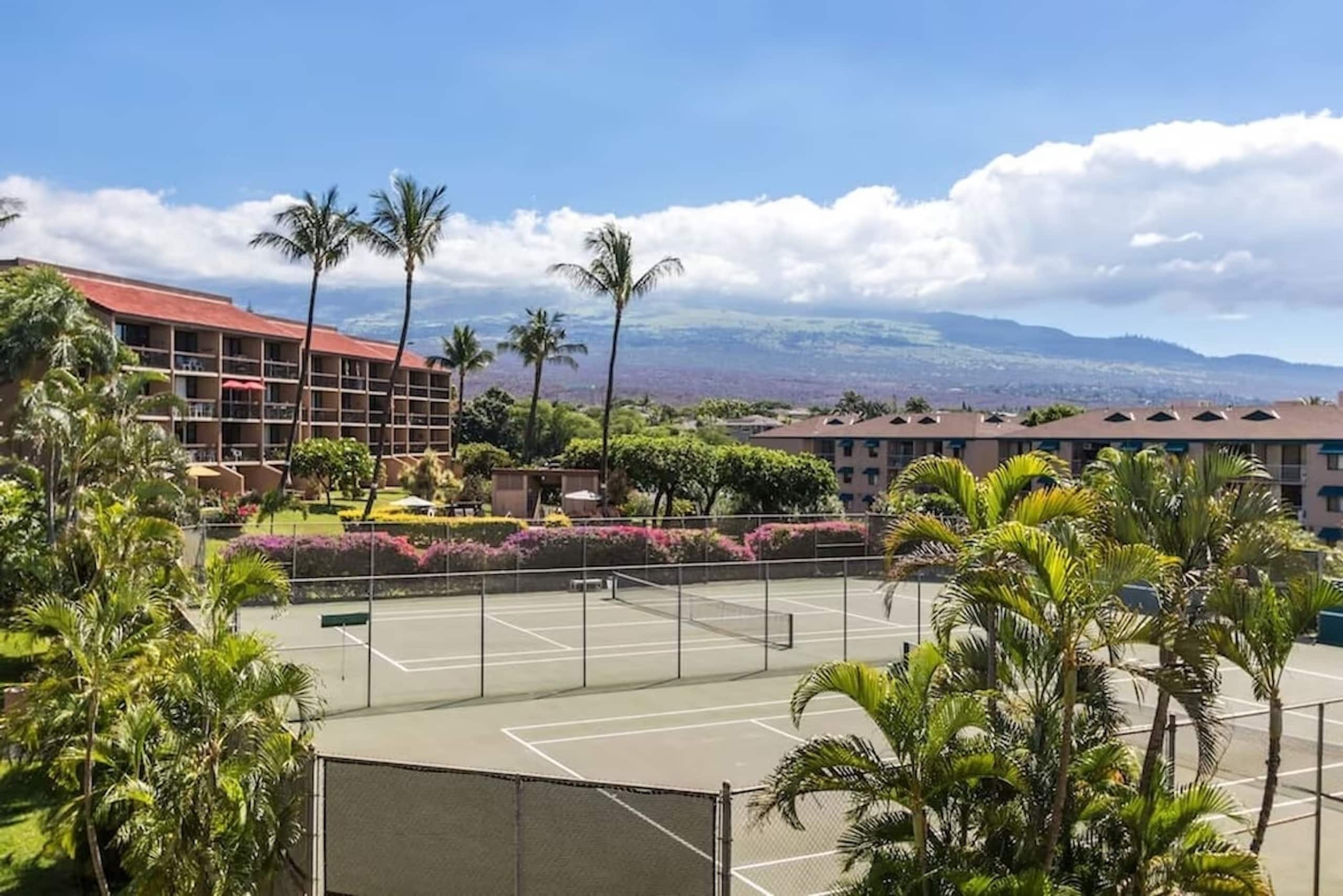 Condo in Kihei · ★4.75 · 1 bedroom · 2 beds · 1 private bath - Image 34