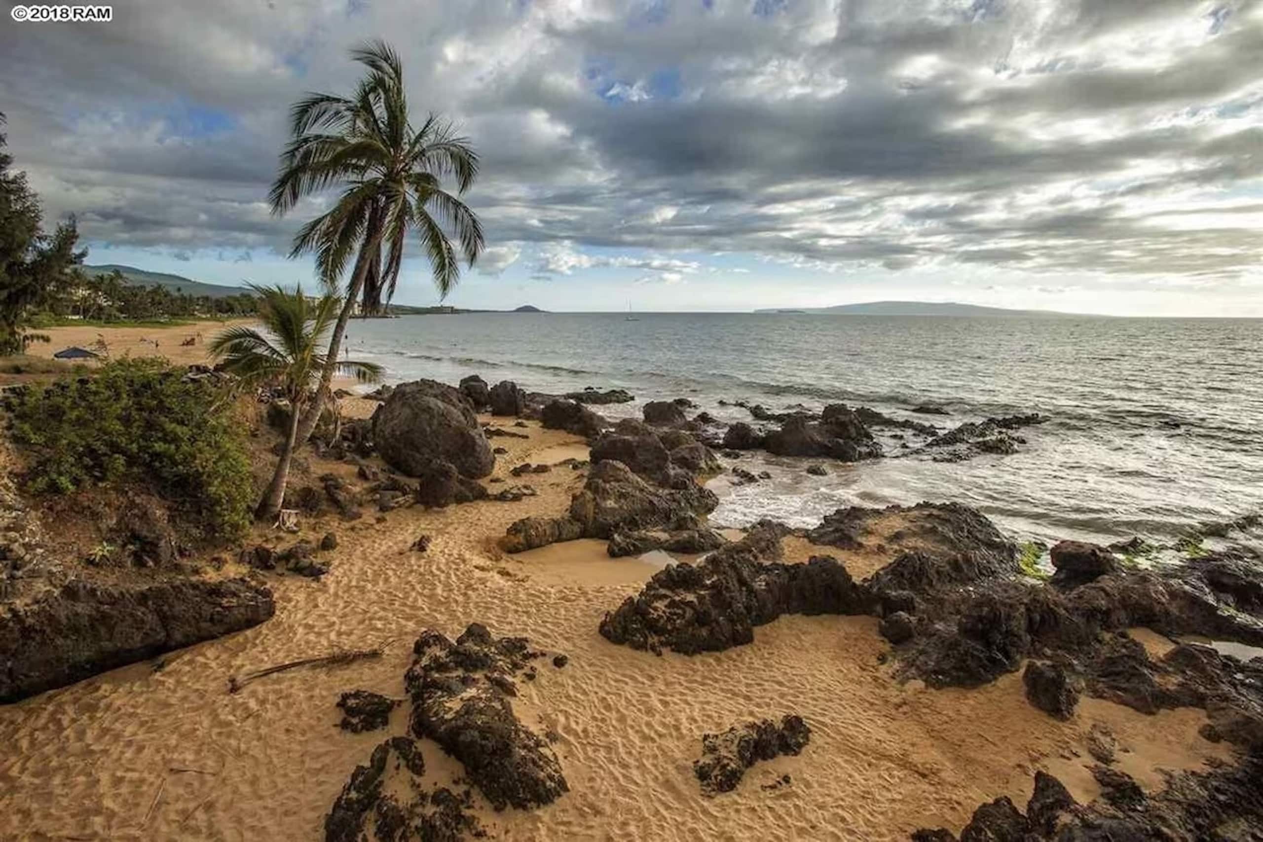 Condo in Kihei · ★4.75 · 1 bedroom · 2 beds · 1 private bath - Image 47