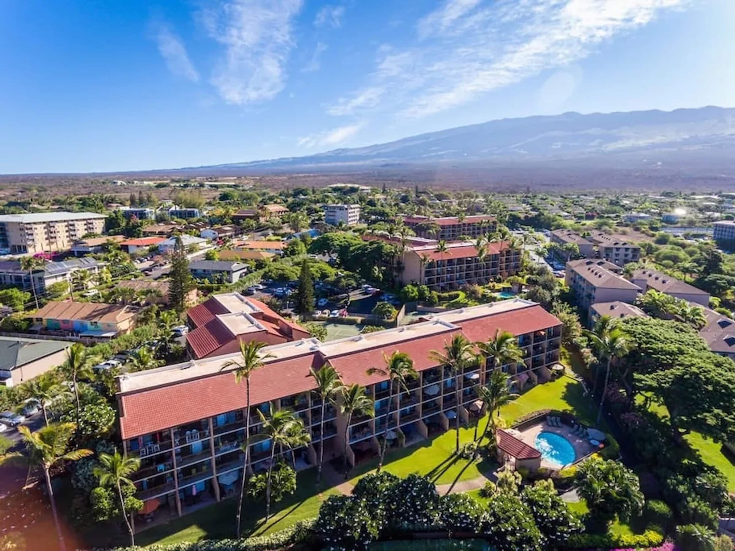 Condo in Kihei · ★4.75 · 1 bedroom · 2 beds · 1 private bath - Image 35