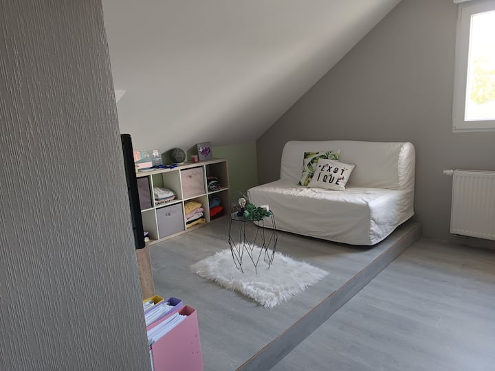 Très Grande Chambre Au Calme - Bischwiller