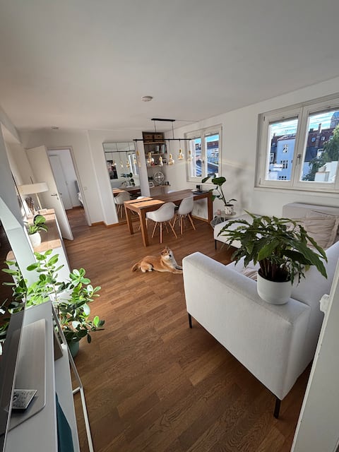 Successful Airbnb property: Central duplex apartment + large private roof terrace in Lehel