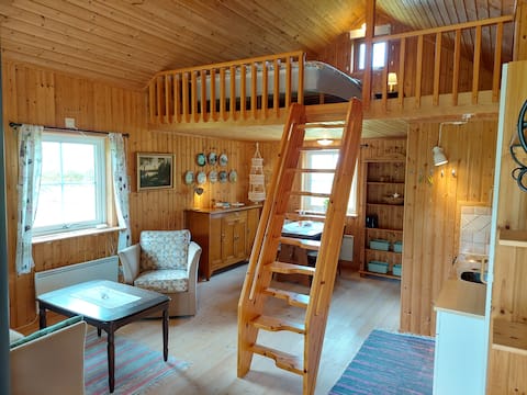 Successful Airbnb property: TinyHouse near Ullared – forests, meadows & peace in Falkenberg