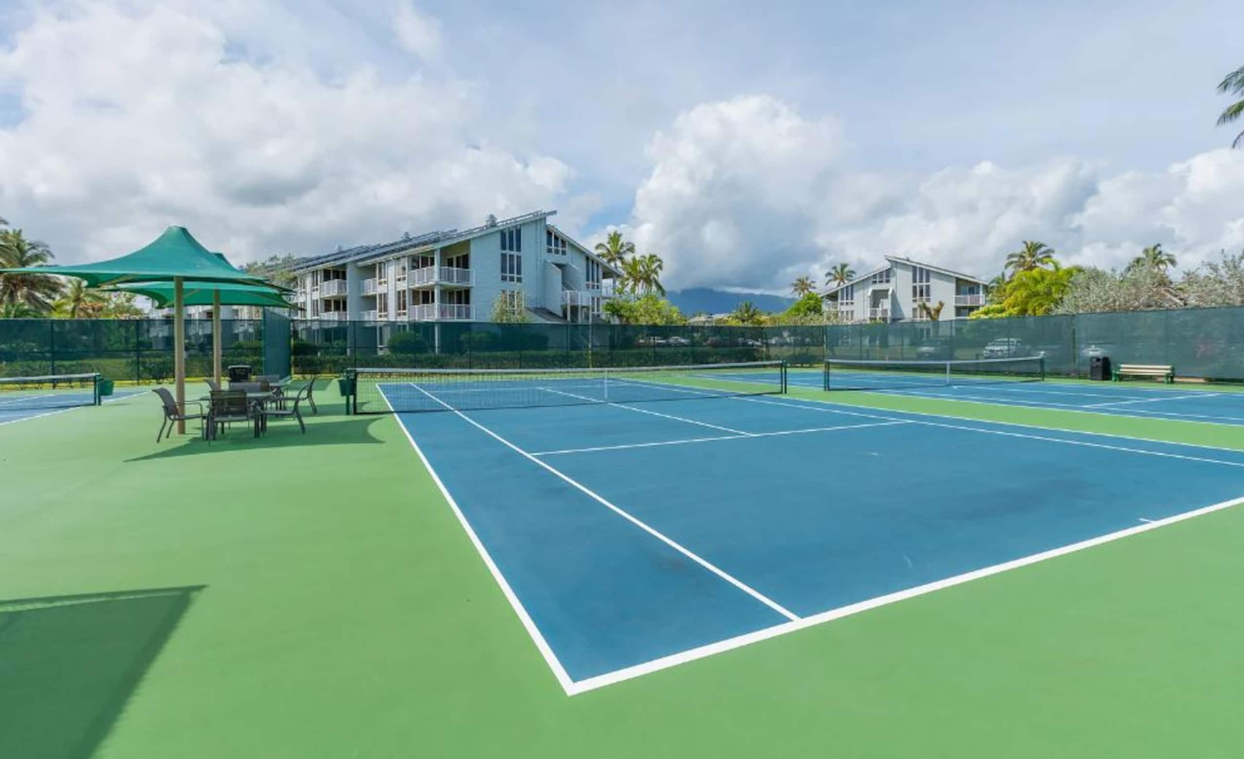Princeville 1 + Loft at The Cliffs - Sleeps 6! - Image 53