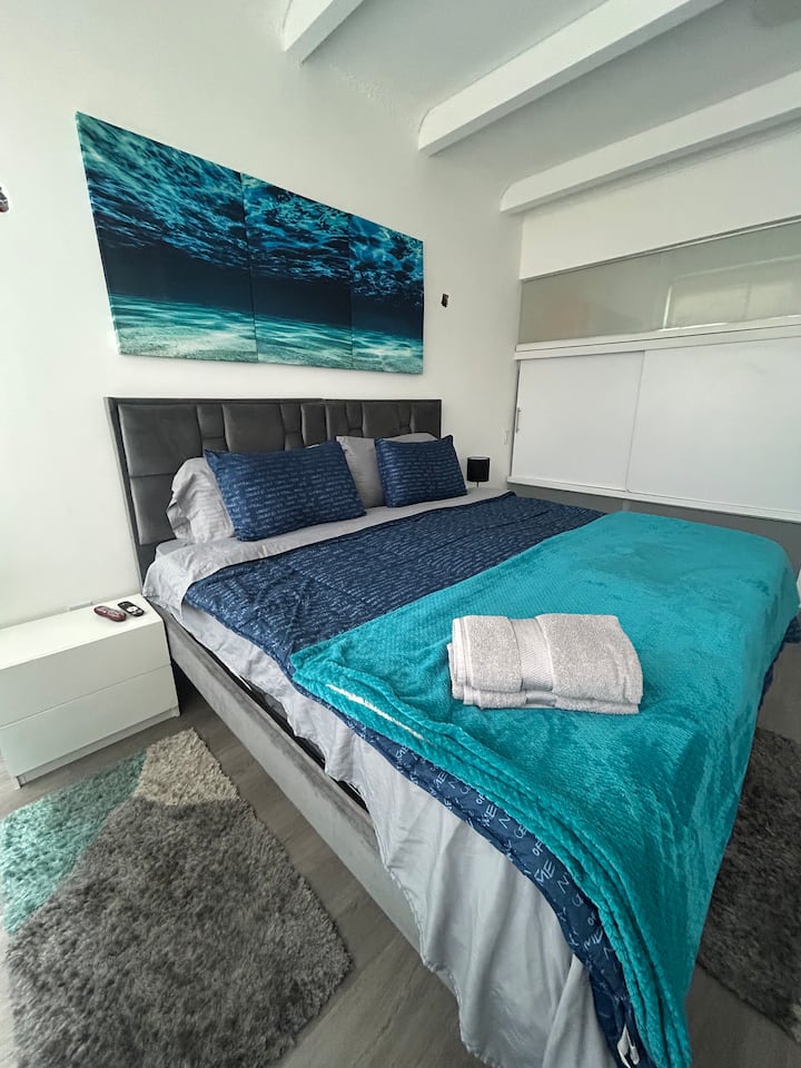 Kingsize bed (2.0x2.0) gespecialiseerd klinisch orthopedisch matras voor postoperatieve zorg heeft een Nest (extra tweepersoonsbed) grote eigen badkamer douche en tv douche met warm water super grote kast 