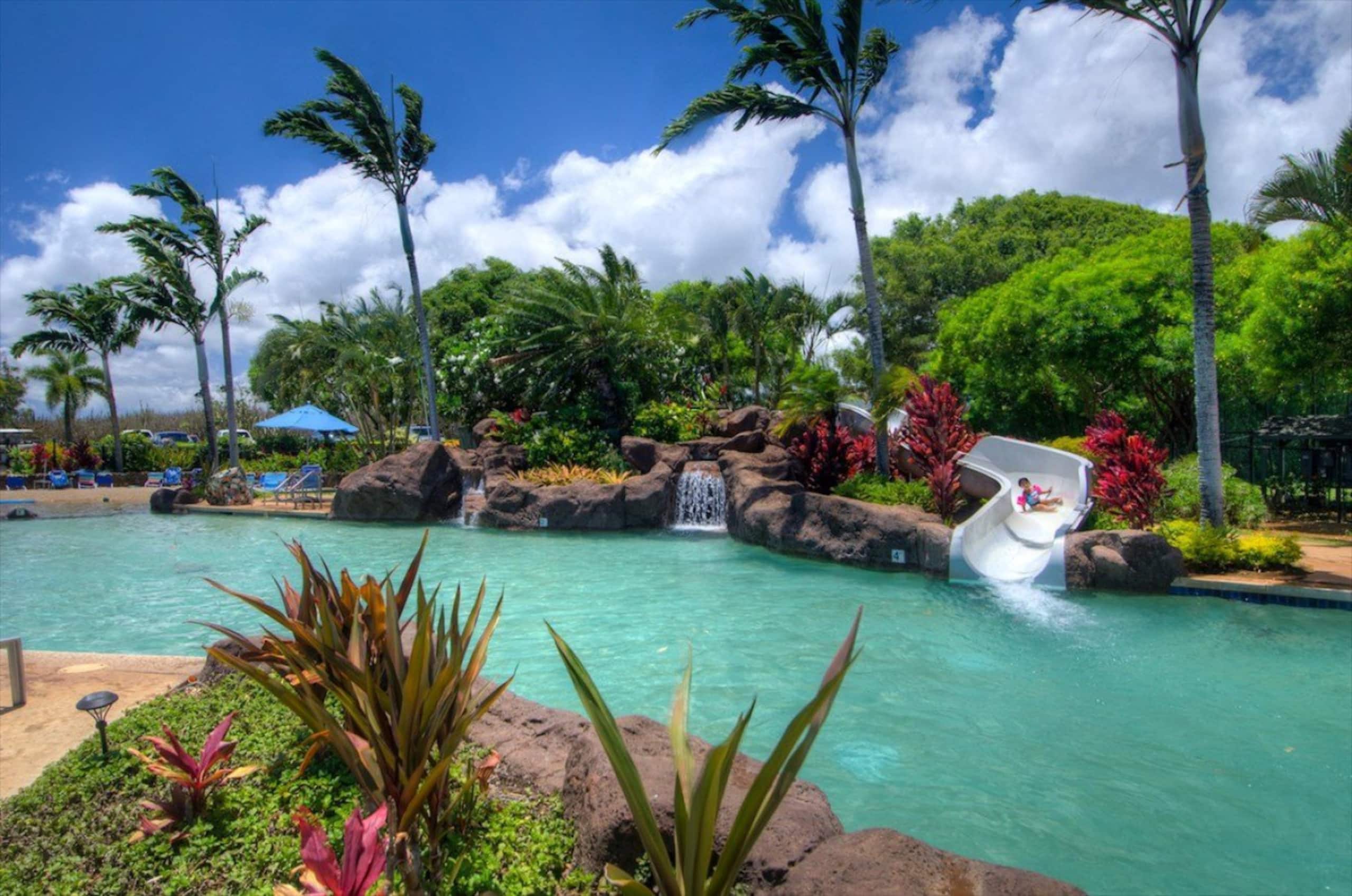 Home in Poipu · ★5.0 · 3 bedrooms · 5 beds · 3 baths - Image 4