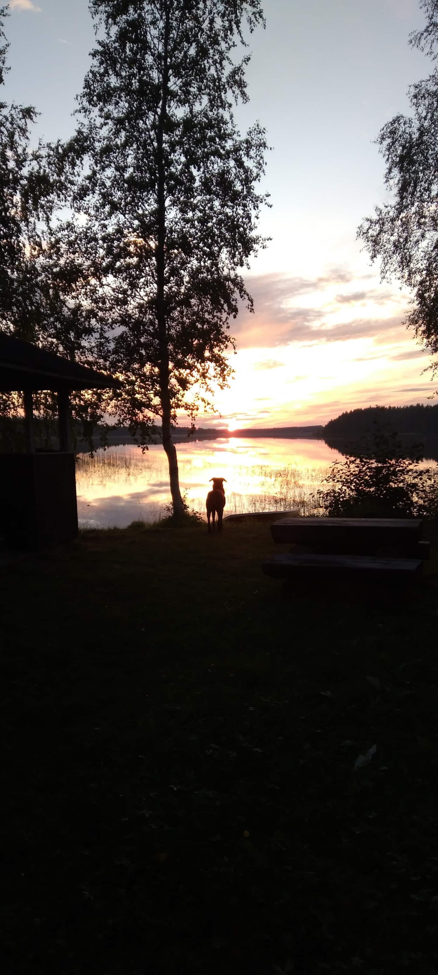Järvenrantamökki Sotkamossa 2